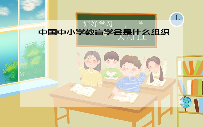 中国中小学教育学会是什么组织