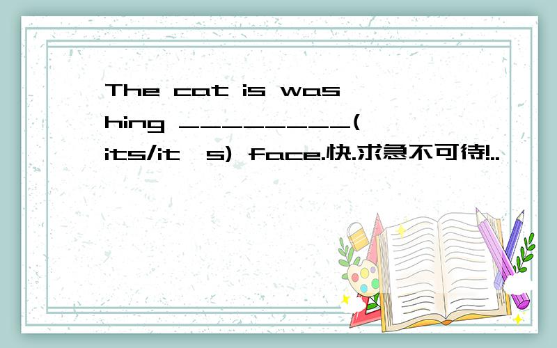 The cat is washing ________(its/it's) face.快.求急不可待!..