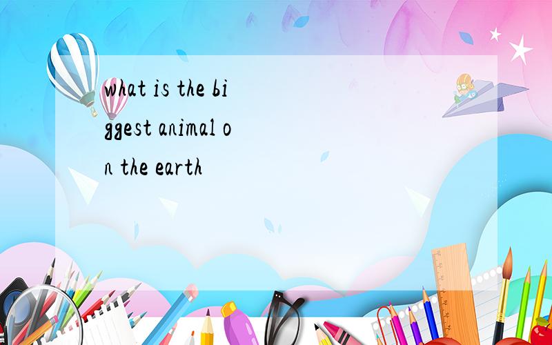 what is the biggest animal on the earth