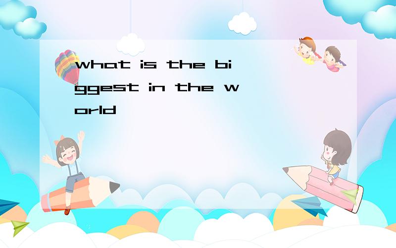 what is the biggest in the world