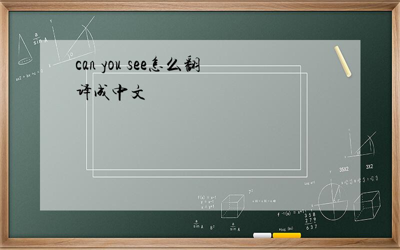 can you see怎么翻译成中文