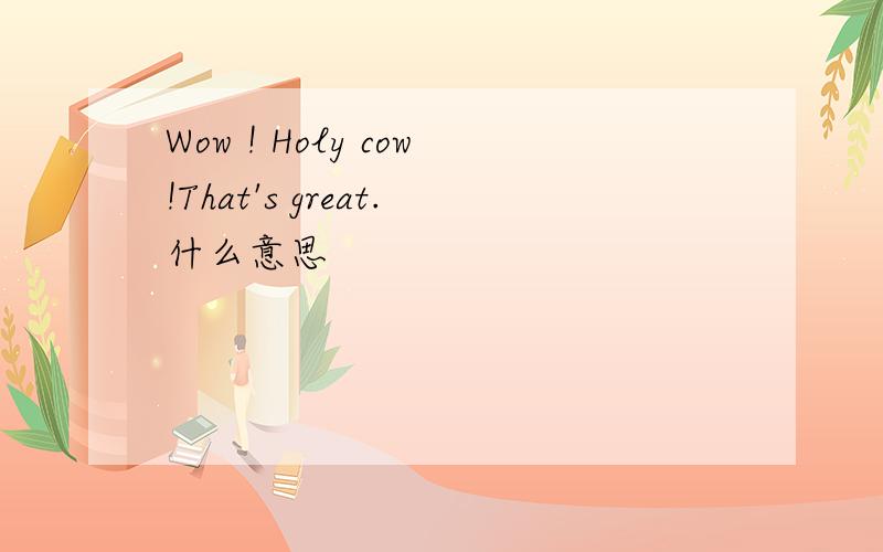 Wow ! Holy cow!That's great.什么意思