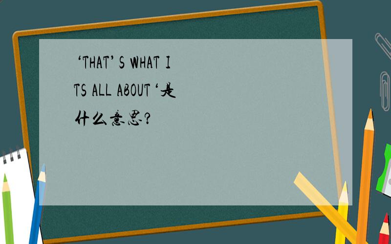 ‘THAT’S WHAT ITS ALL ABOUT‘是什么意思?