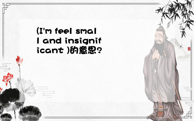 (I'm feel small and insignificant )的意思?