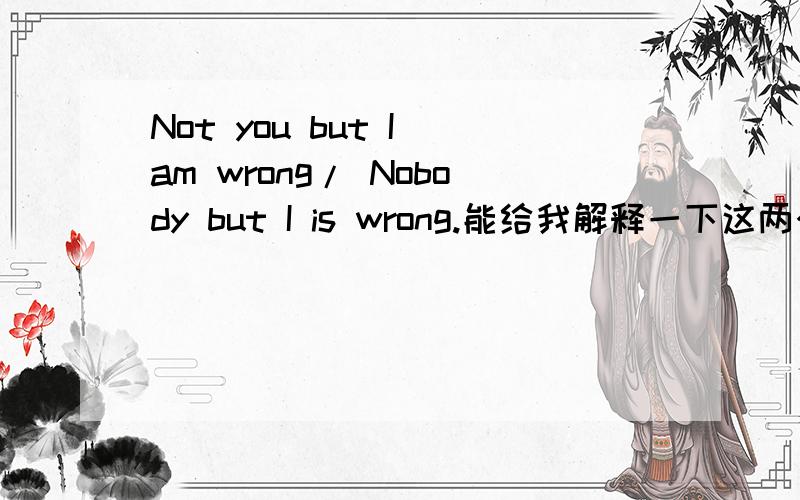 Not you but I am wrong/ Nobody but I is wrong.能给我解释一下这两个句子.