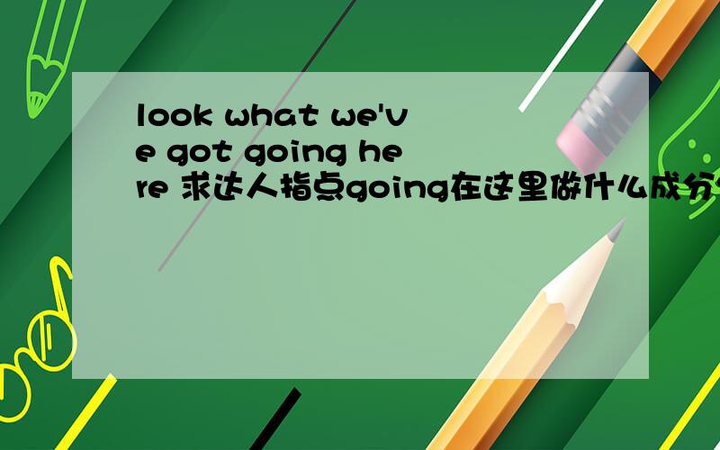 look what we've got going here 求达人指点going在这里做什么成分?
