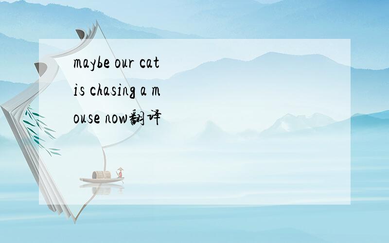 maybe our cat is chasing a mouse now翻译