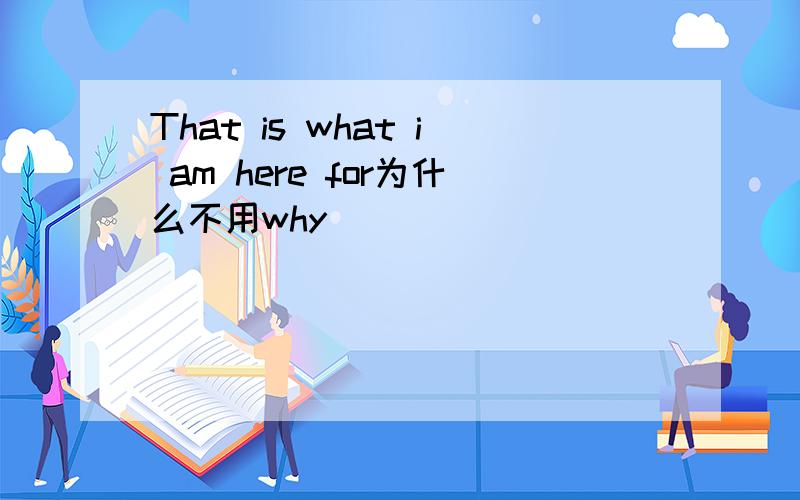 That is what i am here for为什么不用why