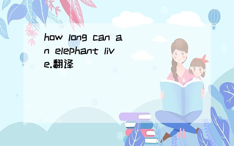 how long can an elephant live.翻译