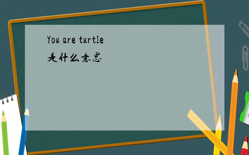 You are turtle是什么意思