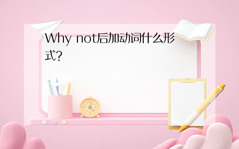 Why not后加动词什么形式?