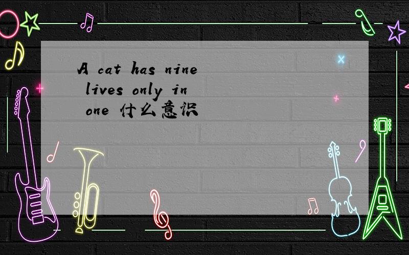 A cat has nine lives only in one 什么意识