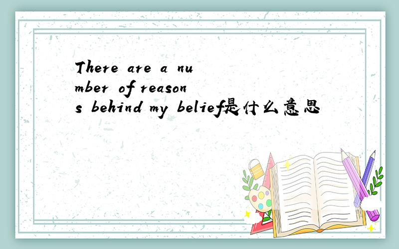 There are a number of reasons behind my belief是什么意思