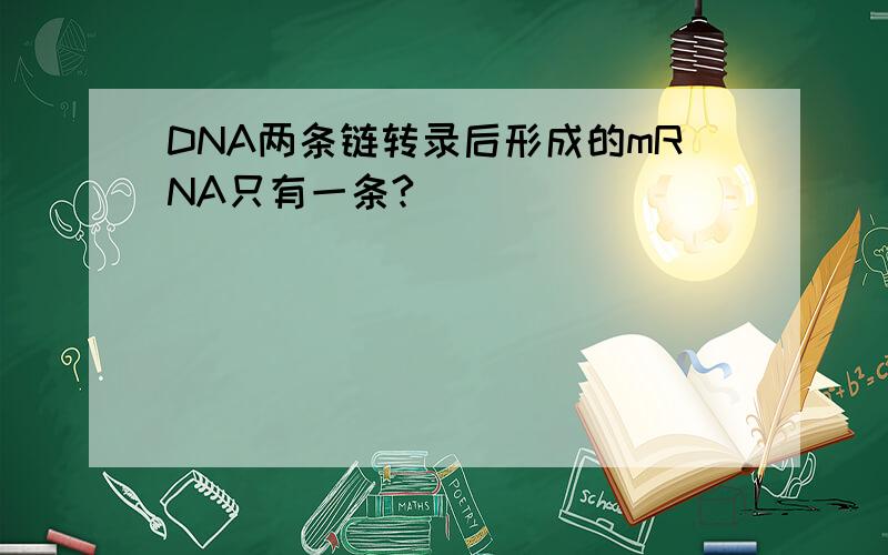 DNA两条链转录后形成的mRNA只有一条?