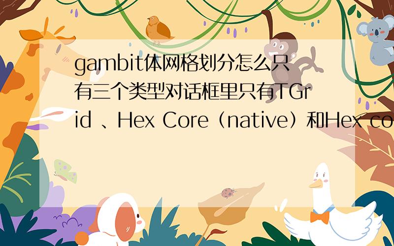 gambit体网格划分怎么只有三个类型对话框里只有TGrid 、Hex Core（native）和Hex core(TGrid)三个type,没有cooper等格式,怎么回事