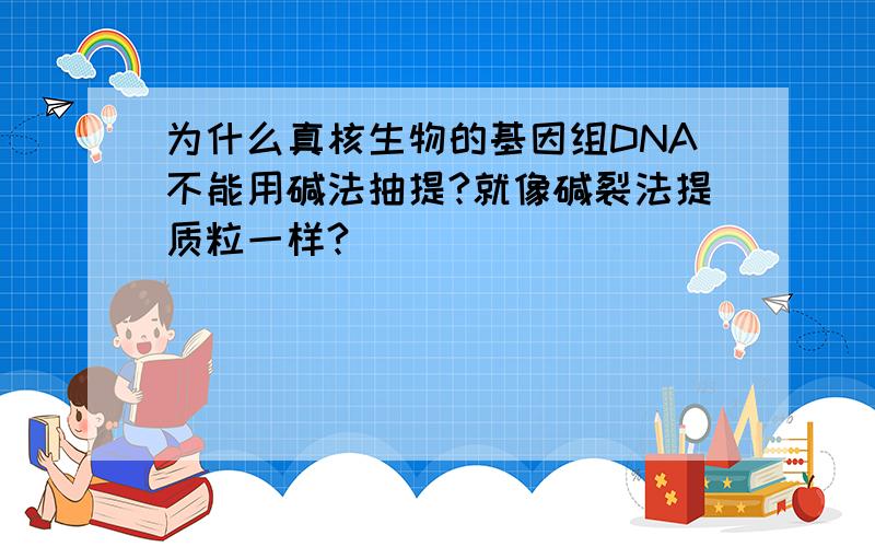 为什么真核生物的基因组DNA不能用碱法抽提?就像碱裂法提质粒一样?