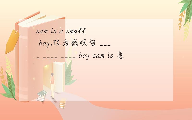 sam is a small boy,改为感叹句 ____ ____ ____ boy sam is 急