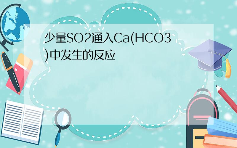 少量SO2通入Ca(HCO3)中发生的反应